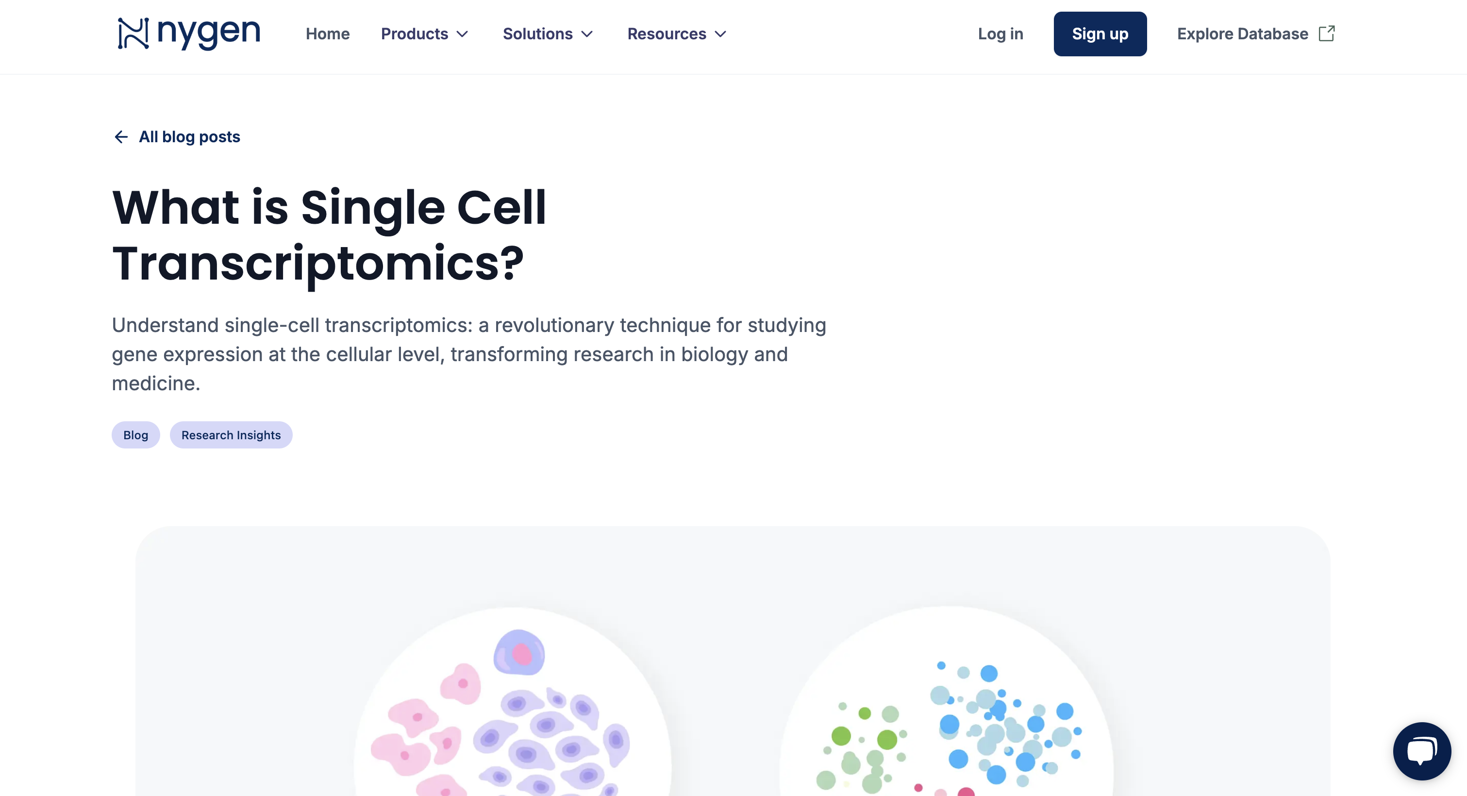 What is Single Cell Transcriptomics?