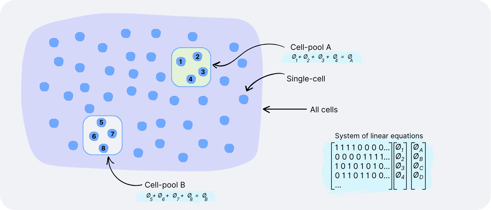 Data normalization techniques and tools for single-cell analysis