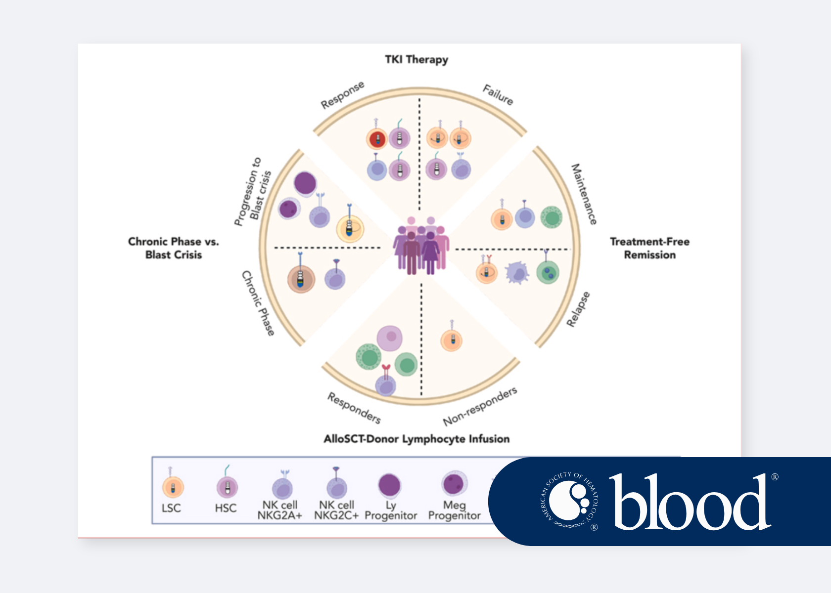 Insights from single-cell omics: cellular heterogeneity as a foundation of clinical outcome in chronic myeloid leukemia