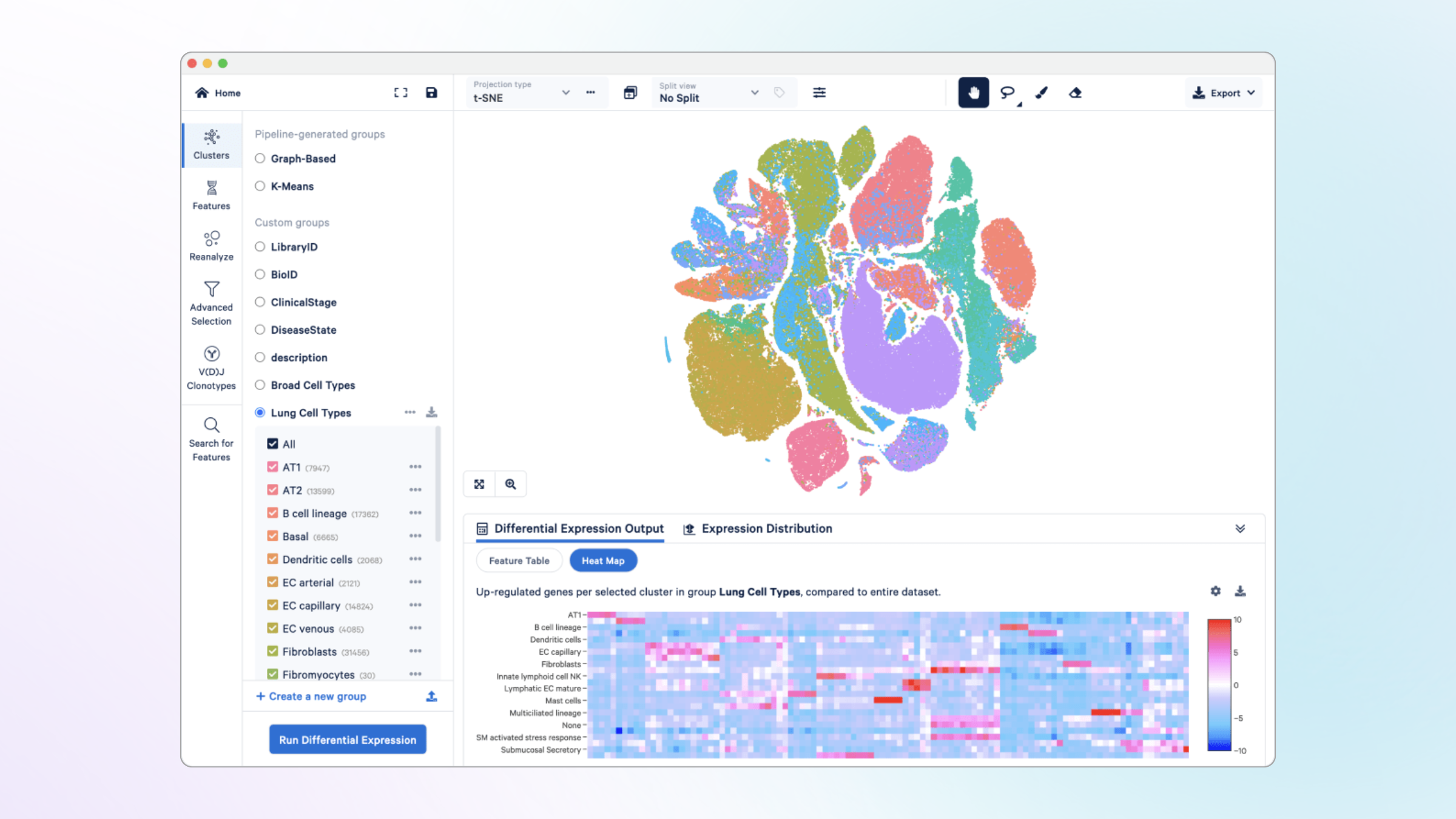 Loupe Browser interface showing single-cell clustering, UMAP projection, and gene expression views in the desktop application