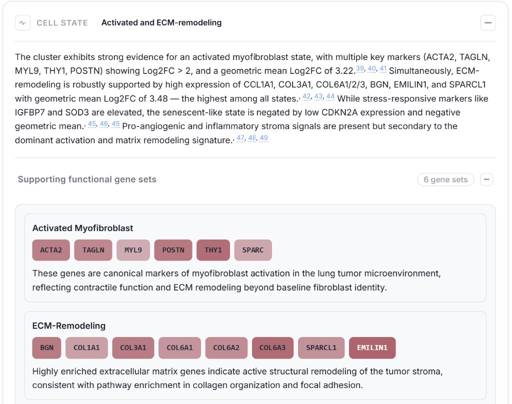 CyteType coarse lineage view grouping clusters into major categories such as myeloid cells, B cells, T cells, and endothelial cells with confidence indicators