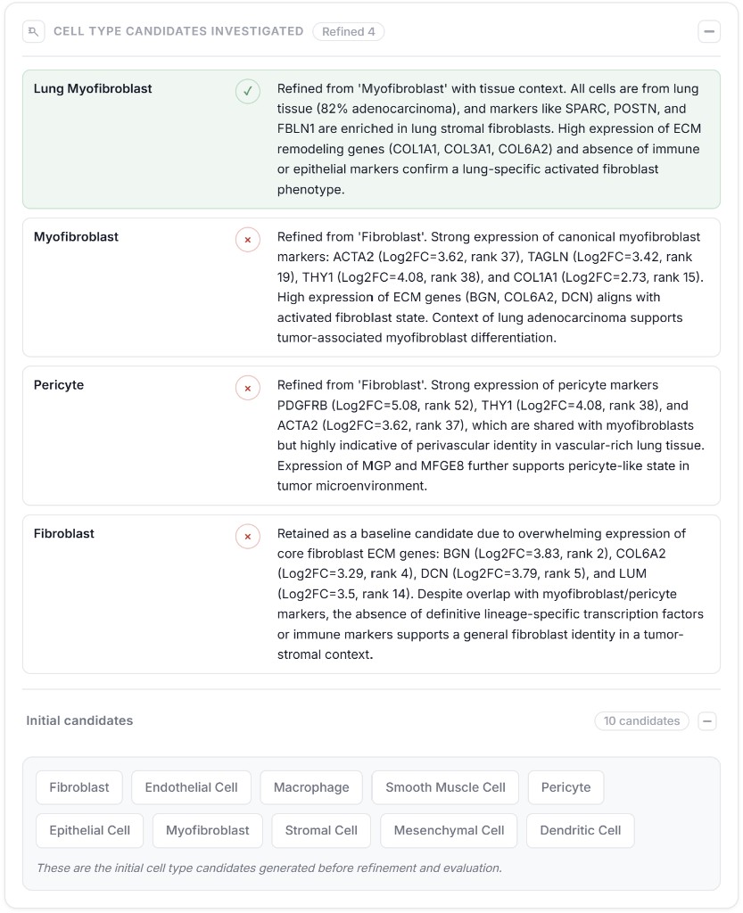 CyteType decision traceability showing refined cell type candidates with acceptance and rejection reasoning, marker evidence, and initial candidate pool