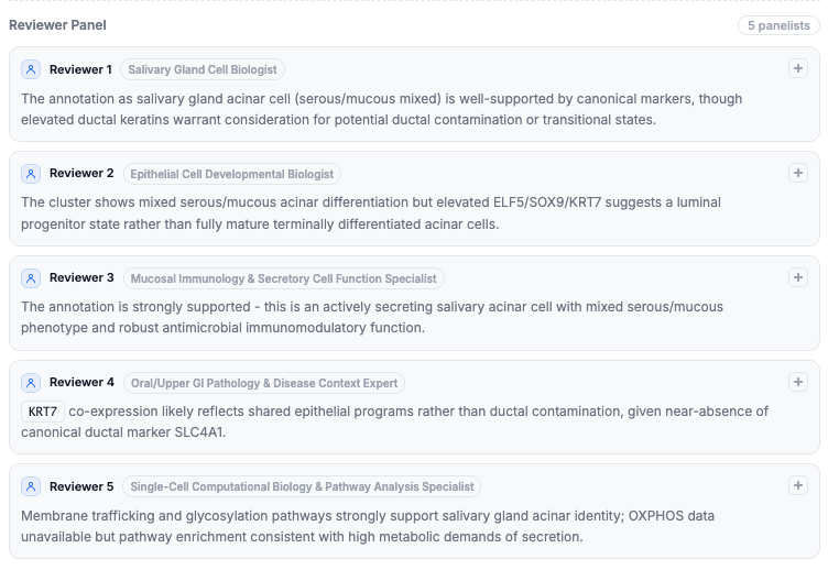 CyteType reviewer panel with five specialist AI reviewers providing independent assessments of cell type annotation including strengths and caveats