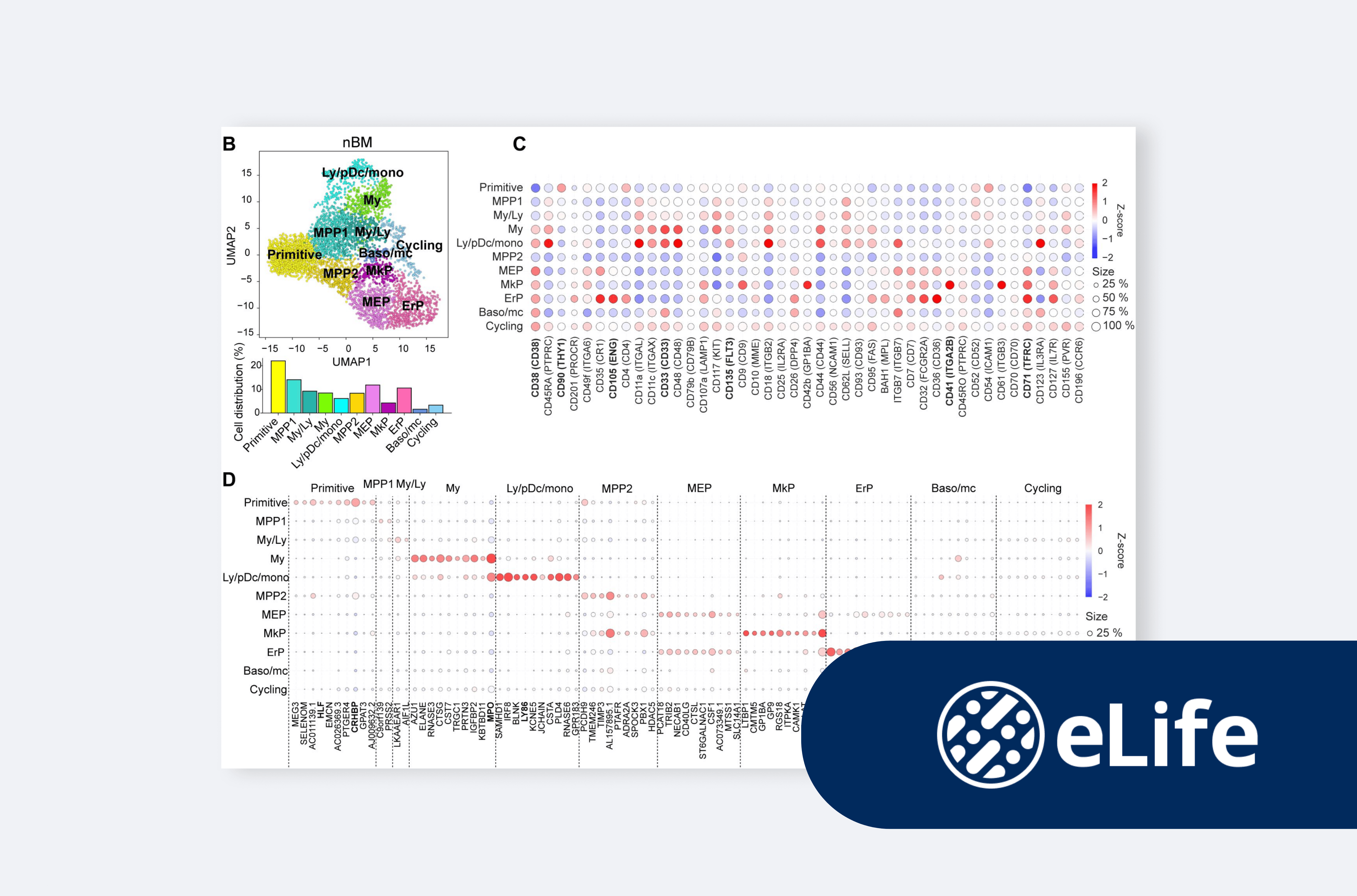 Single cell multi-omics analysis of chronic myeloid leukemia links cellular heterogeneity to therapy response