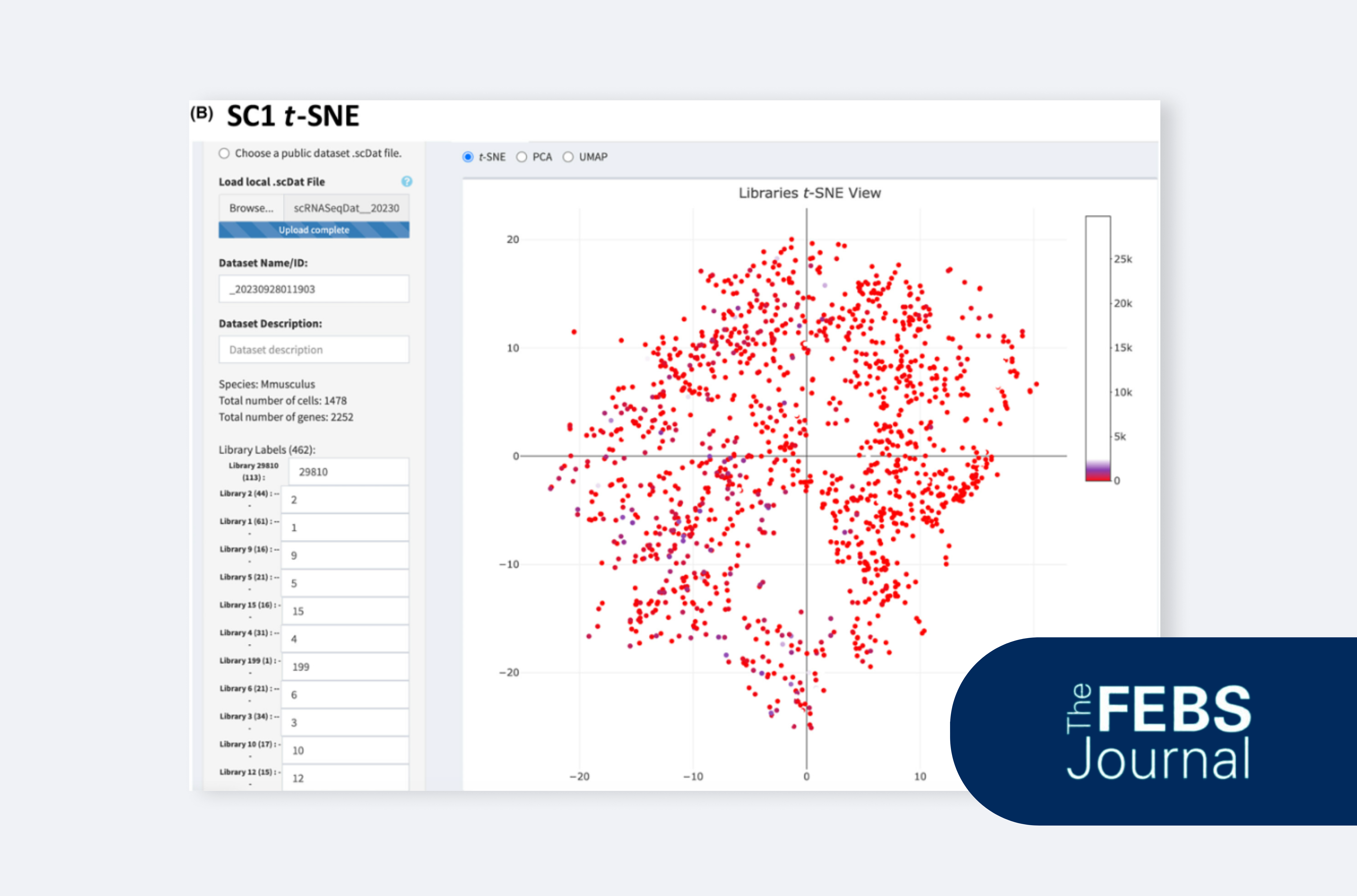 A guide to single-cell RNA sequencing analysis using web-based tools for non-bioinformatician