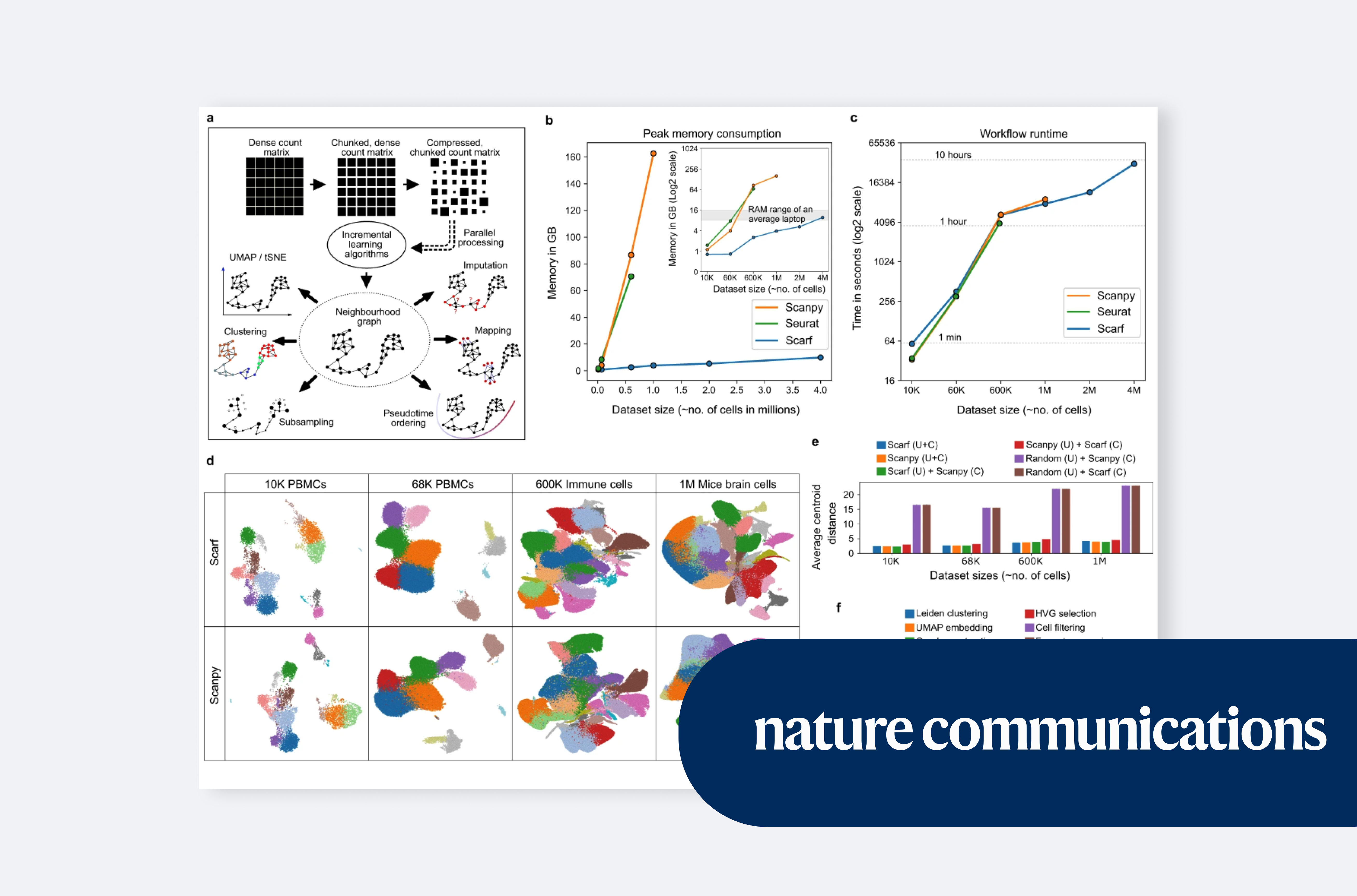 Scarf enables a highly memory-efficient analysis of large-scale single-cell genomics data
