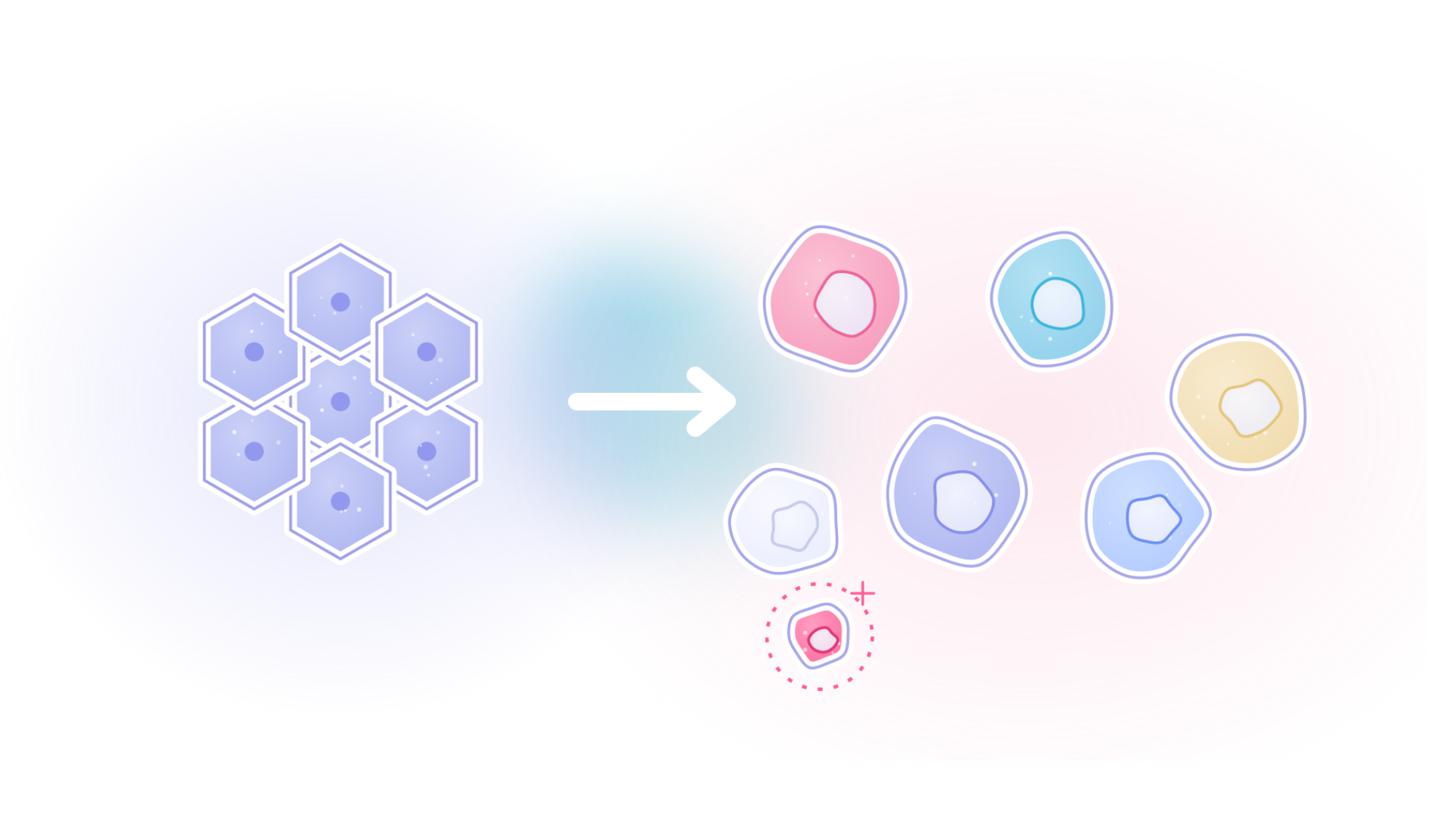 When is Single-cell RNA-seq Enough, and When Do You Need Spatial Data?